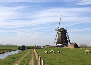 Private Full-Day Customizable Tour of Holland from Amsterdam